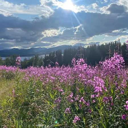 Liten Og Moderne Hybel Med Gratis Parkering Leilighet